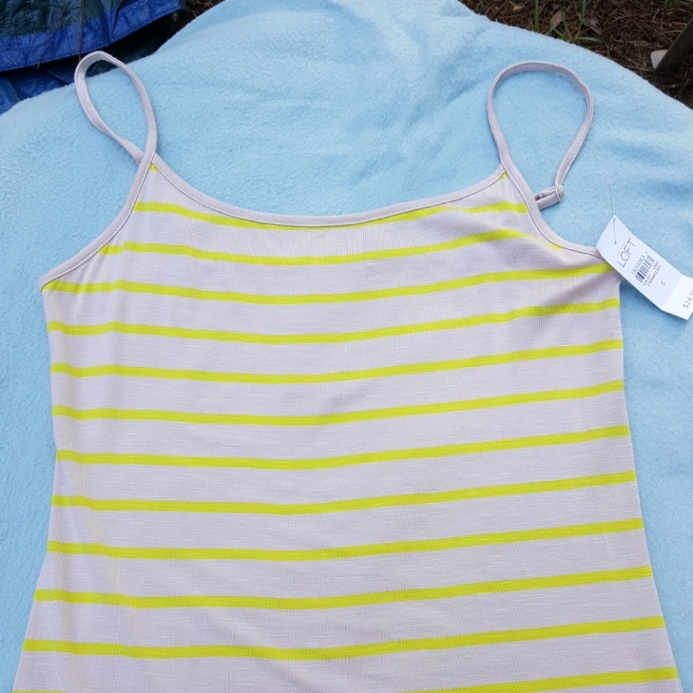 Ann Taylor Loft Tank Top